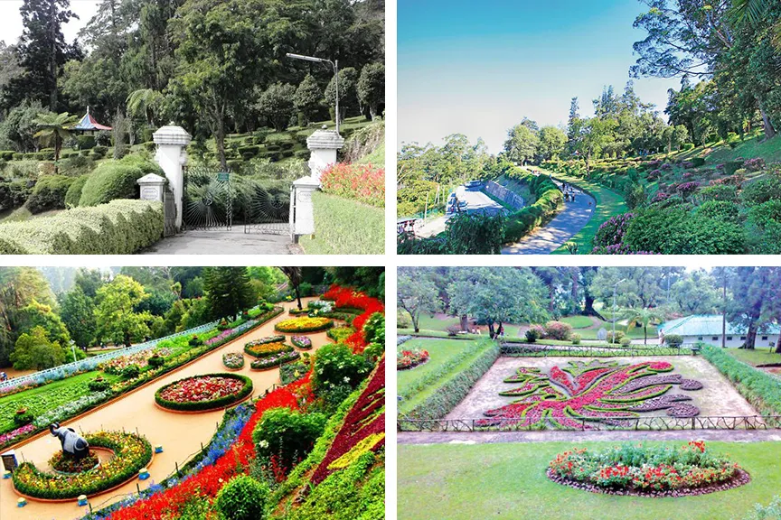 Hakgala Botanical Gardens 1