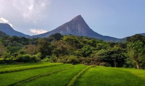 Lakgala Peak, Knuckles Range: "Ramayanaya" Trails Tour, Sri Lanka