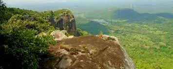 Thalladi Sanjeevani Drop Sri Lanka