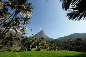 Lakgala Peak, Knuckles Range, Sri Lanka: A stunning view of the mountain peak from a lush valley.
