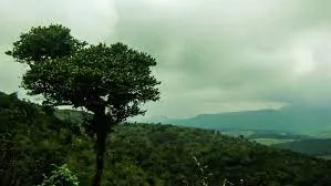 Thotupola Kanda: A Breathtaking View of Sri Lanka's Natural Beauty