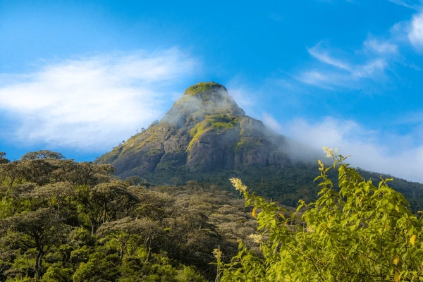adams peak 2243 m tall 600nw 2473184139