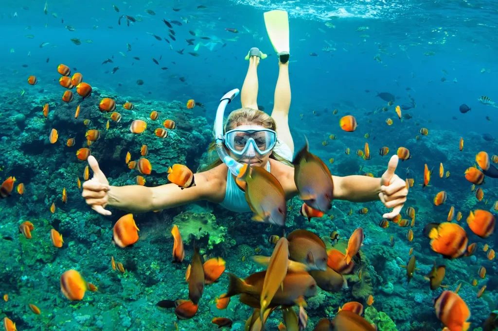 Snorkeling with colorful fish at Weligama Beach, Sri Lanka