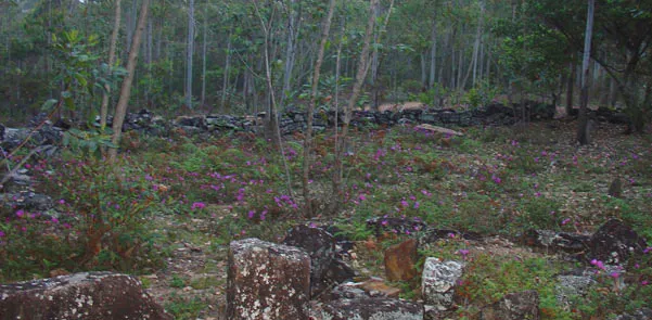 Gavagala east of Nuwara Eliya 9 Gavagala ancient dairy farm near Nuwara Eliya, Sri Lanka - Gleeam Pearl Tours