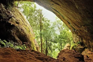 Sunlight streams into the entrance of Ishtripura Caves near Welimada, Sri Lanka, illuminating lush greenery outside.
