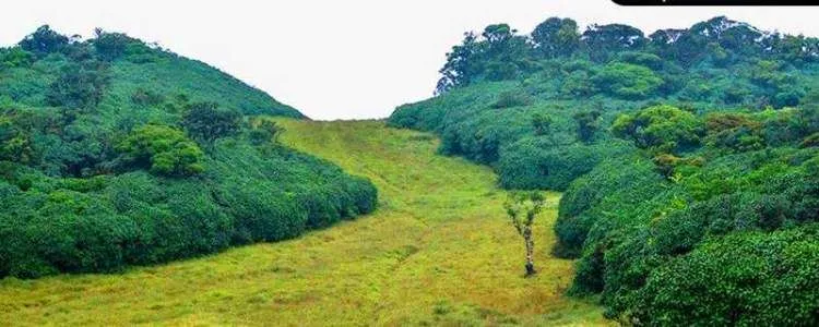 Lush green trail leading to the Chariot Path and Sita Tear Pond, Sri Lanka Ramayana Tours
