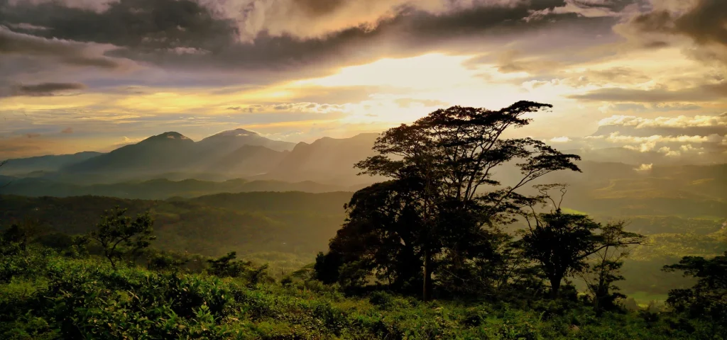 Rattota in Matale District 1 slider1 1