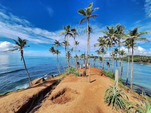 WhatsApp Image 2025 01 26 at 7.56.03 AM