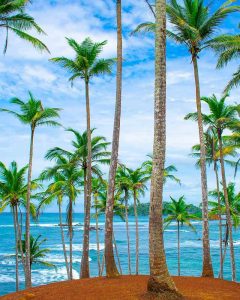 WhatsApp Image 2025 01 26 at 7.56.13 AM