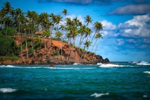 WhatsApp Image 2025 01 26 at 7.56.13 AM1