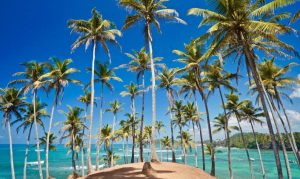 WhatsApp Image 2025 01 26 at 7.56.14 AM