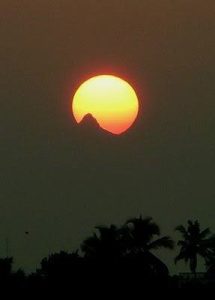 WhatsApp Image 2025 01 26 at 8.00.27 AM1