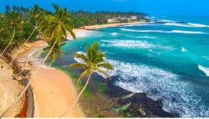 WhatsApp Image 2025 01 26 at 8.05.33 AM