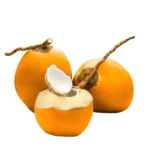 WhatsApp Image 2025 01 26 at 8.08.23 AM